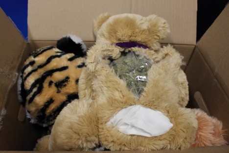 May 22: 48.3 grams of marijuana concealed in 3 teddy bears in express consignment. X-rays were able to spot that something was wrong at Peace Arch crossing.