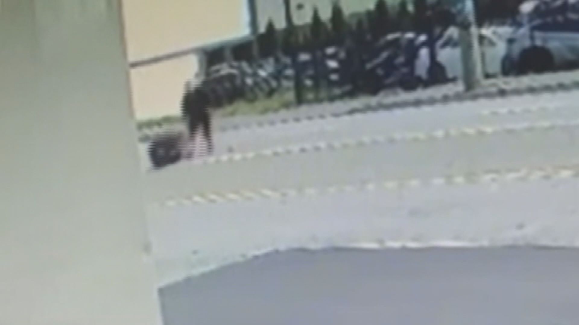 Global News получи видеоклип показващ порочно нападение в Langley Във