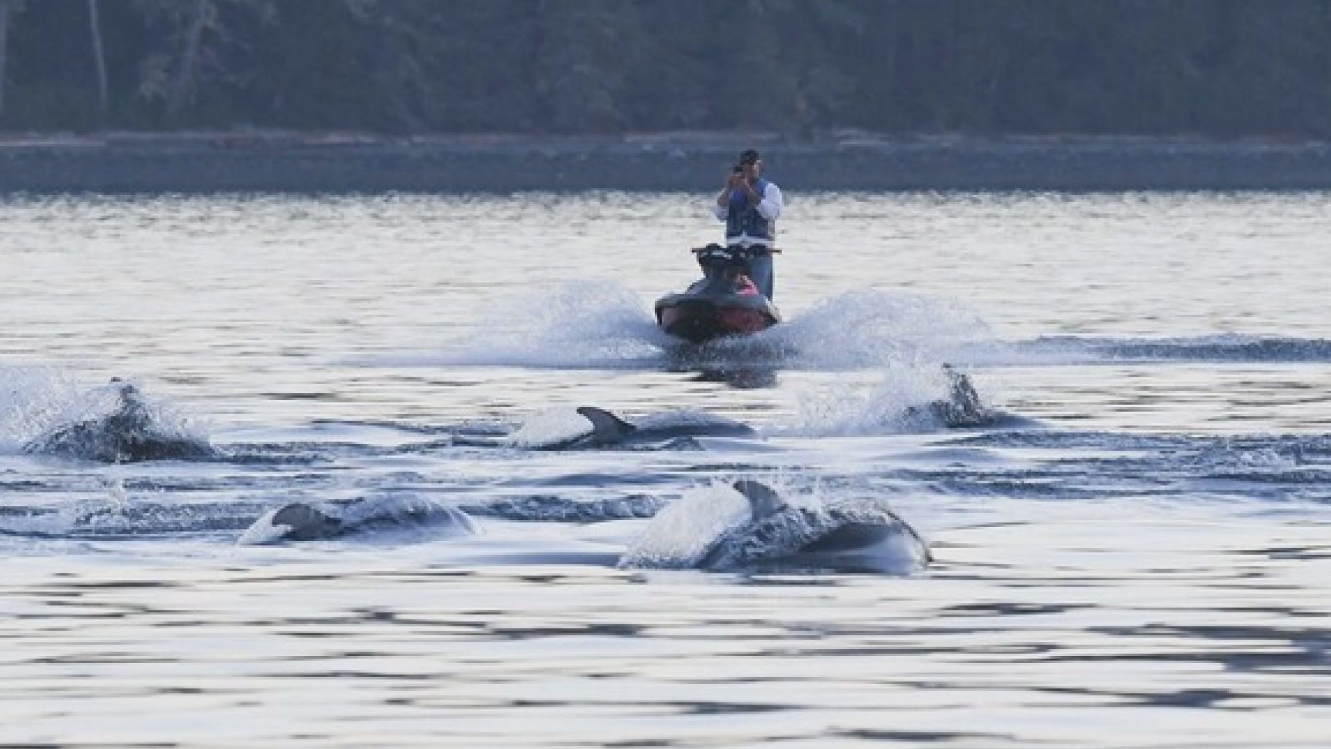 Човек видян да превишава увиване на джет ски към шушулка