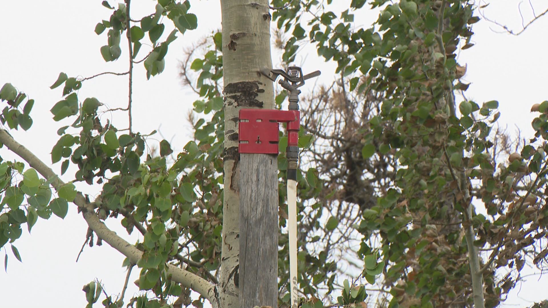 Джеймс Ирвин и Труди Конър се обаждат на каюта на
