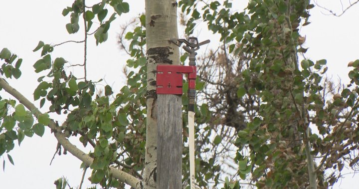 Джеймс Ирвин и Труди Конър се обаждат на каюта на