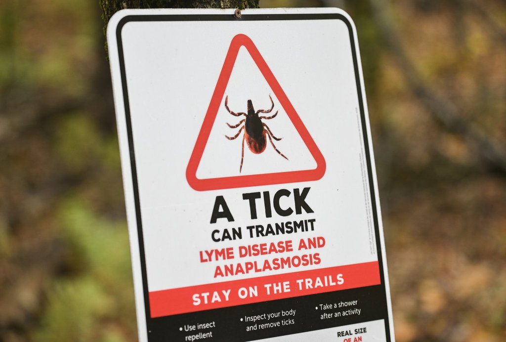 Quebec issues warning about diseases from ticks, mosquitoes