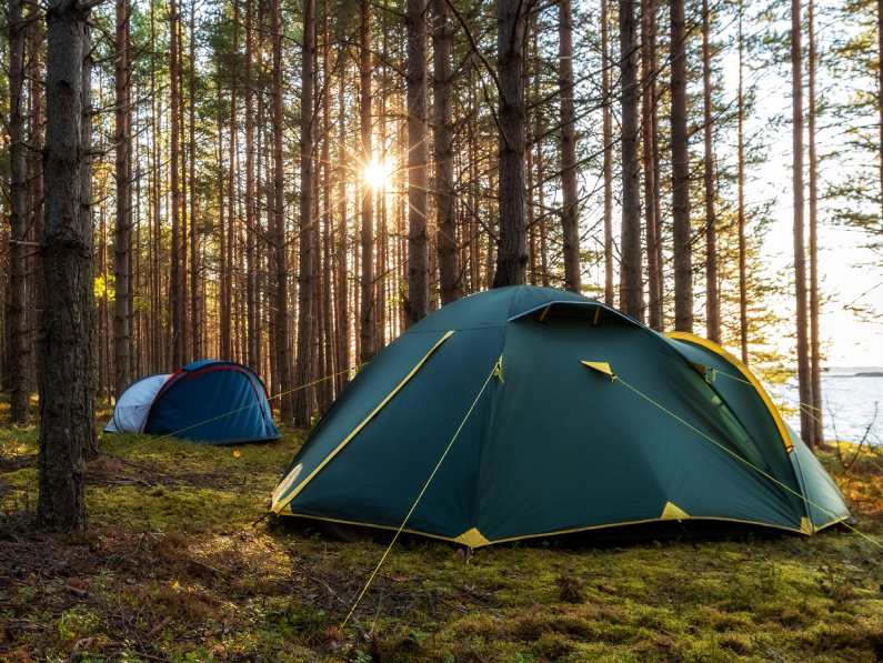 The Curator: 12 essential tips for first-time campers