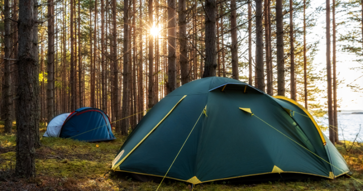 The Curator: 12 Essential Tips For First-time Campers - Beritaja