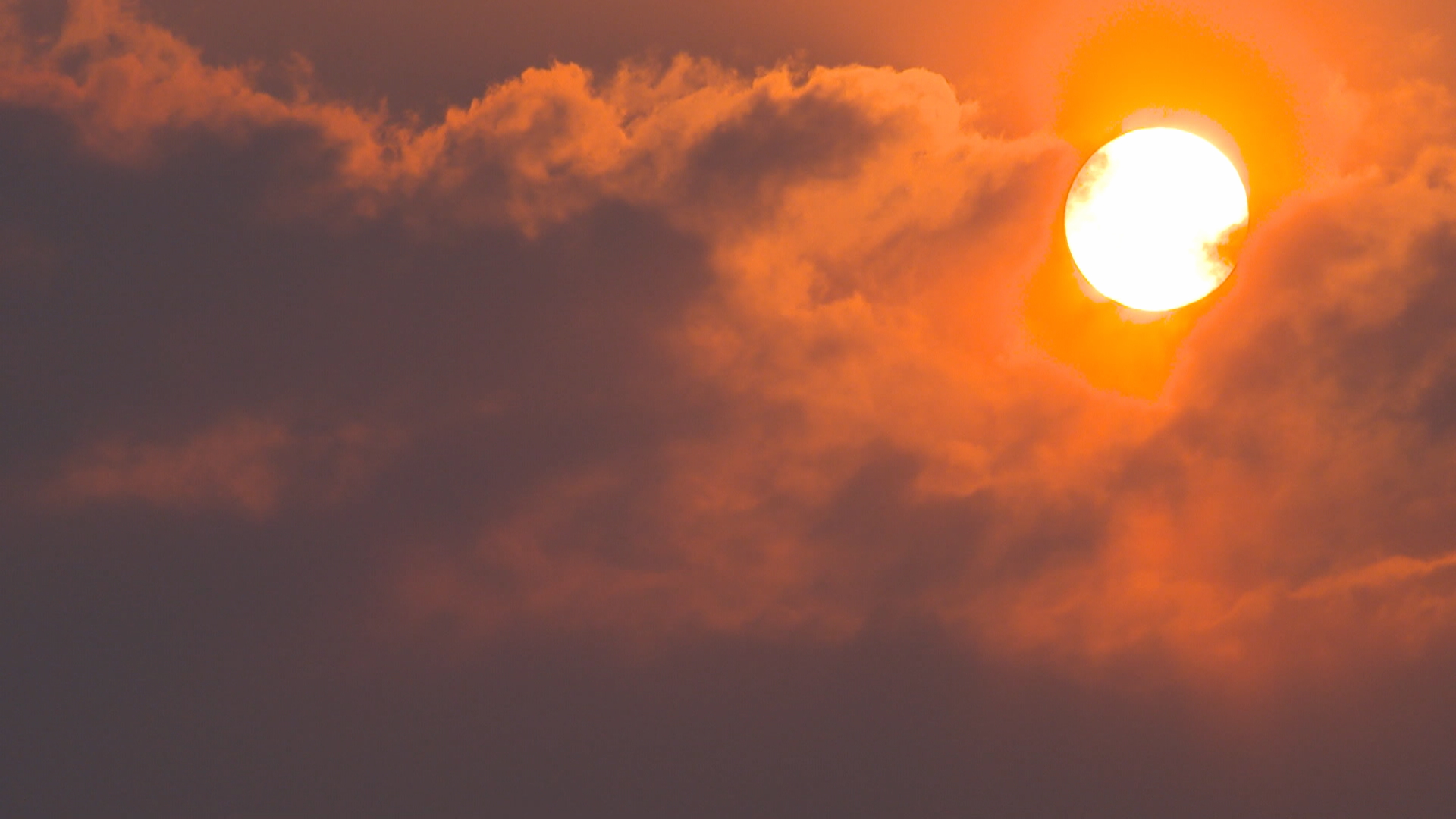 Миризмата и вкуса на дим висяха тежки във въздуха през