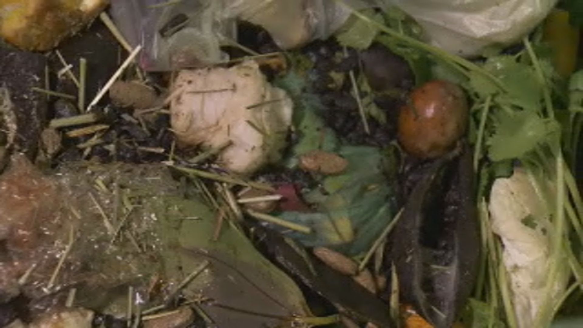 Kelowna city council turns down curbside food waste pickup program