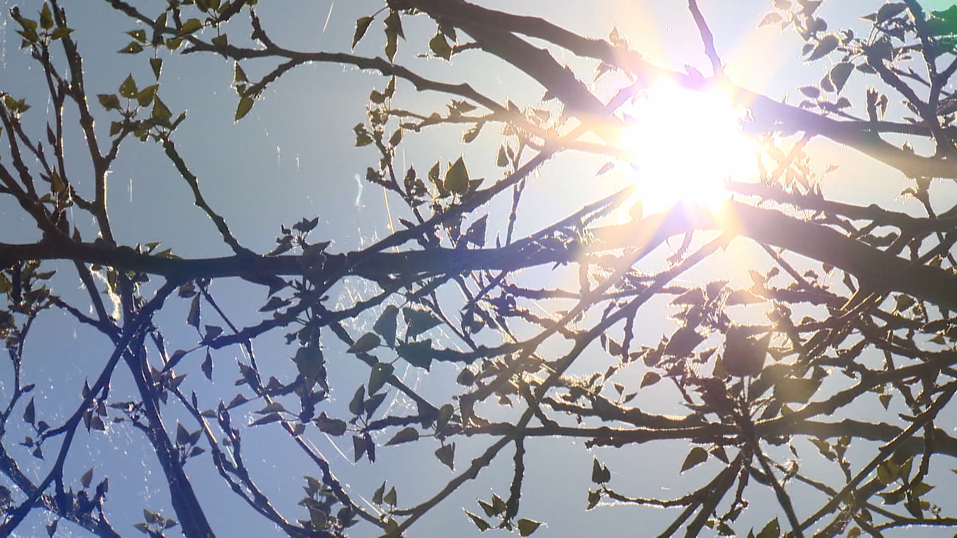 A ridge of high pressure has prompted more heat warnings