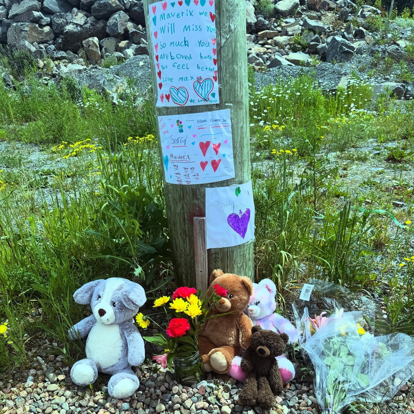 тригодишно момче от Нова Скотия което е било ударено от