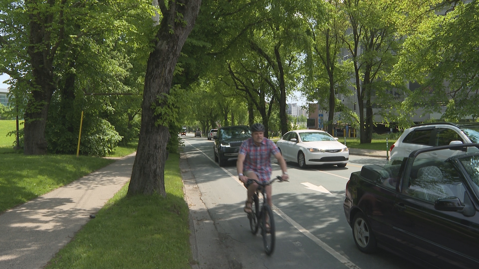 Halifax councillors caught off guard by mayor’s bike lane pushback
