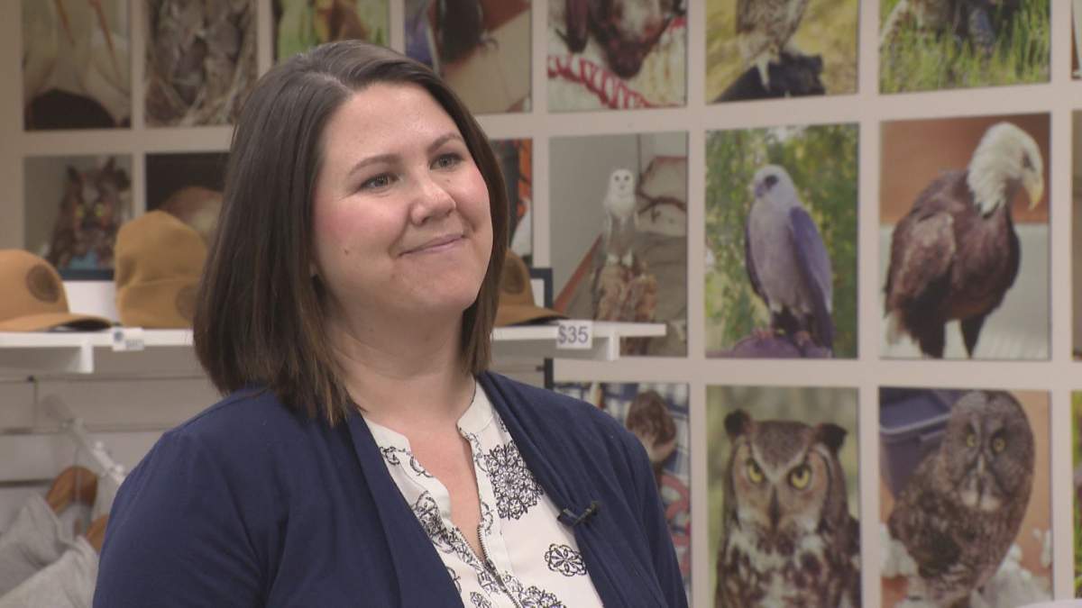 Zoe Nakata is the executive director at Wildlife Haven. She says the facility is seeing an increase in calls about wildlife due to the ongoing wildfires in the province.