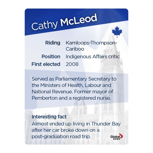 MP trading cards: Official Opposition Edition - image