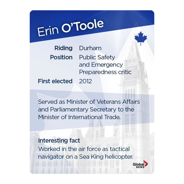 MP trading cards: Official Opposition Edition - image