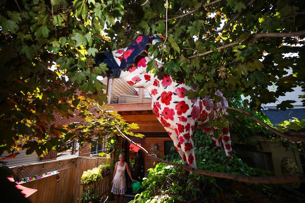 A paper mache moose stands high atop the back deck of Laurel Brooks' home in Toronto, Monday, July 28, 2025. THE CANADIAN PRESS/Cole Burston.