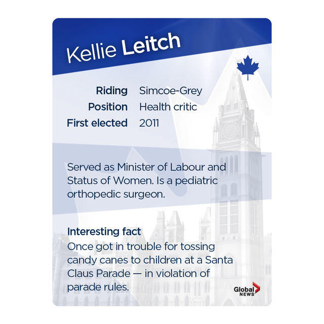 MP trading cards: Official Opposition Edition - image