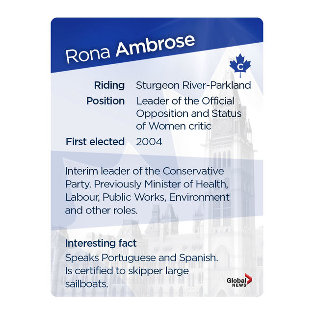 MP trading cards: Official Opposition Edition - image