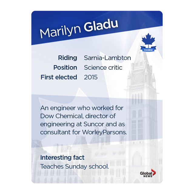 MP trading cards: Official Opposition Edition - image