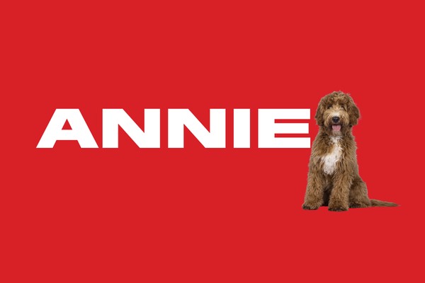 Gateway Theatre presents Annie - image