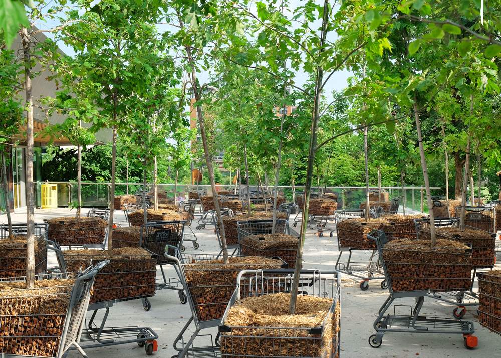Moving Forest at Harbourfront Centre - image