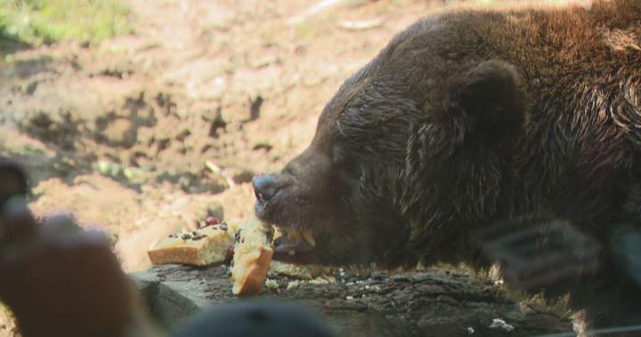Фермата за горски стоки в Саскатун и зоопарк е домакин