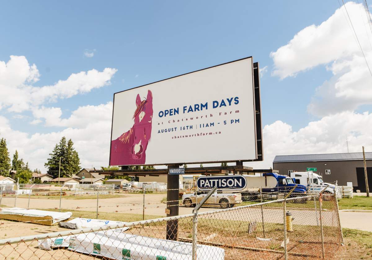 Open Farm Days at Chatsworth Farm - image
