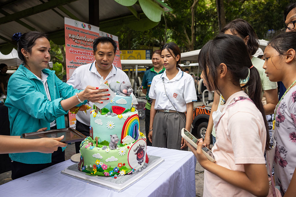 Zoo staff prepare a cake for Moo Deng, the popular pygmy hippo from Thailand, on her first birthday.