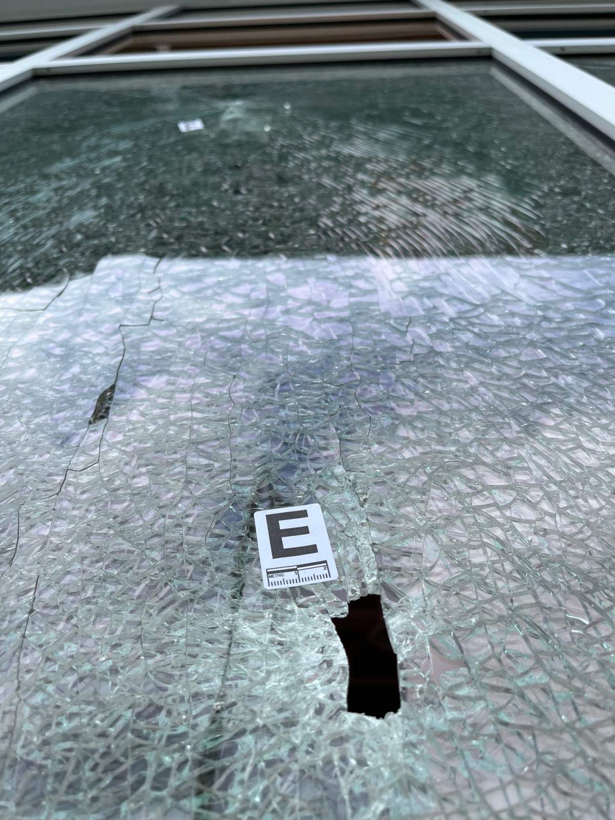 Bullet holes can be seen in the window of the cafe in Surrey.