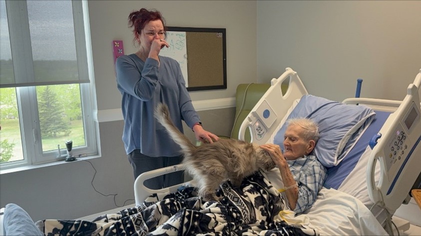 движение на низови започнато от здравен персонал позволява на пациентите