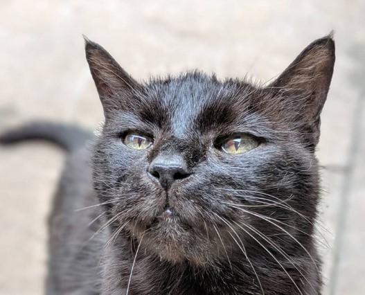 A Richmond B C based animal charity is warning other charities after