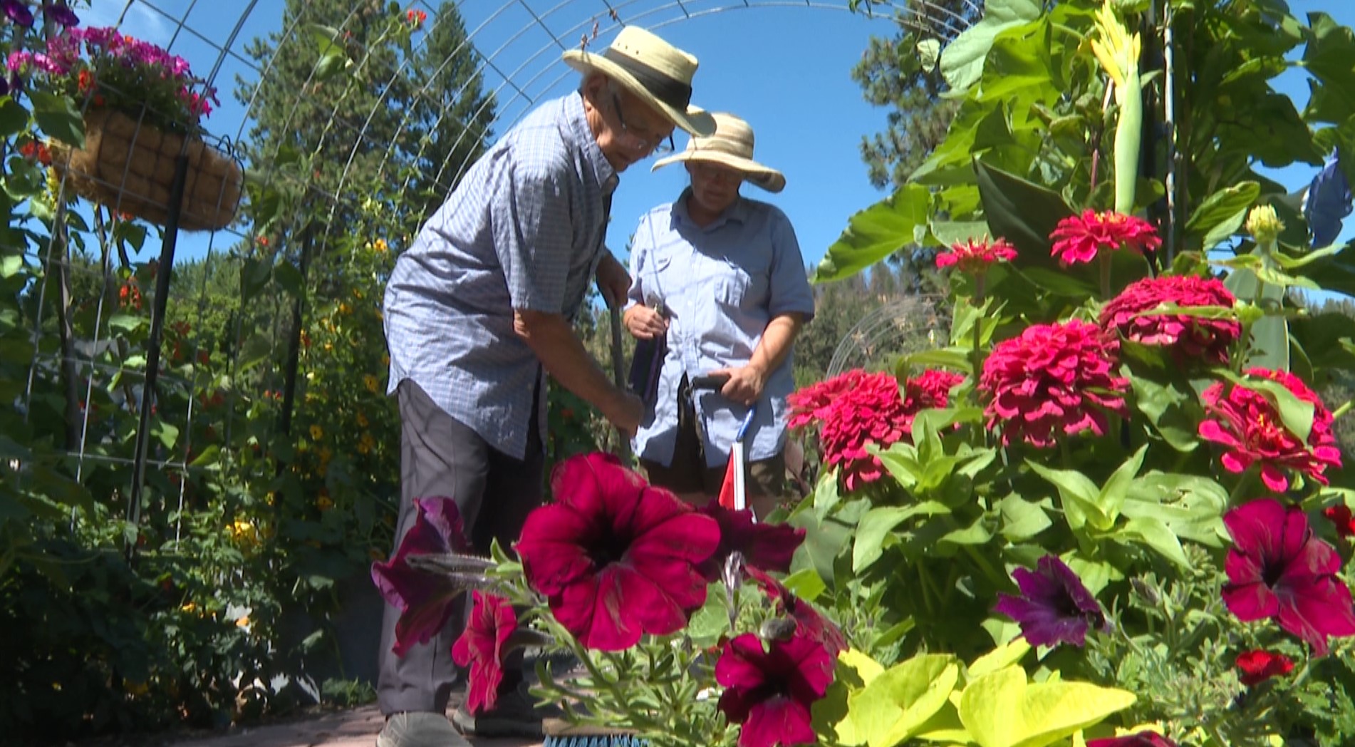 Простата ферма за грижа за живота е глътка свеж въздух