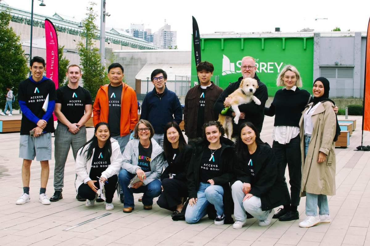 Access Pro Bono’s Pro Bono Going Public, Free Legal Advice-a-Thon - image