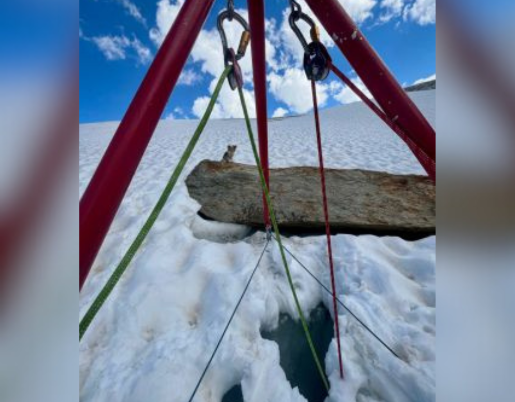 A man who fell into a crevasse around eight metres deep while hiking in Switzerland was saved by his Chihuahua who alerted rescuers to his owner's whereabouts by standing obediently beside where he fell.