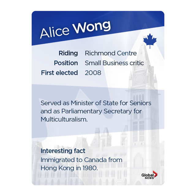 MP trading cards: Official Opposition Edition - image