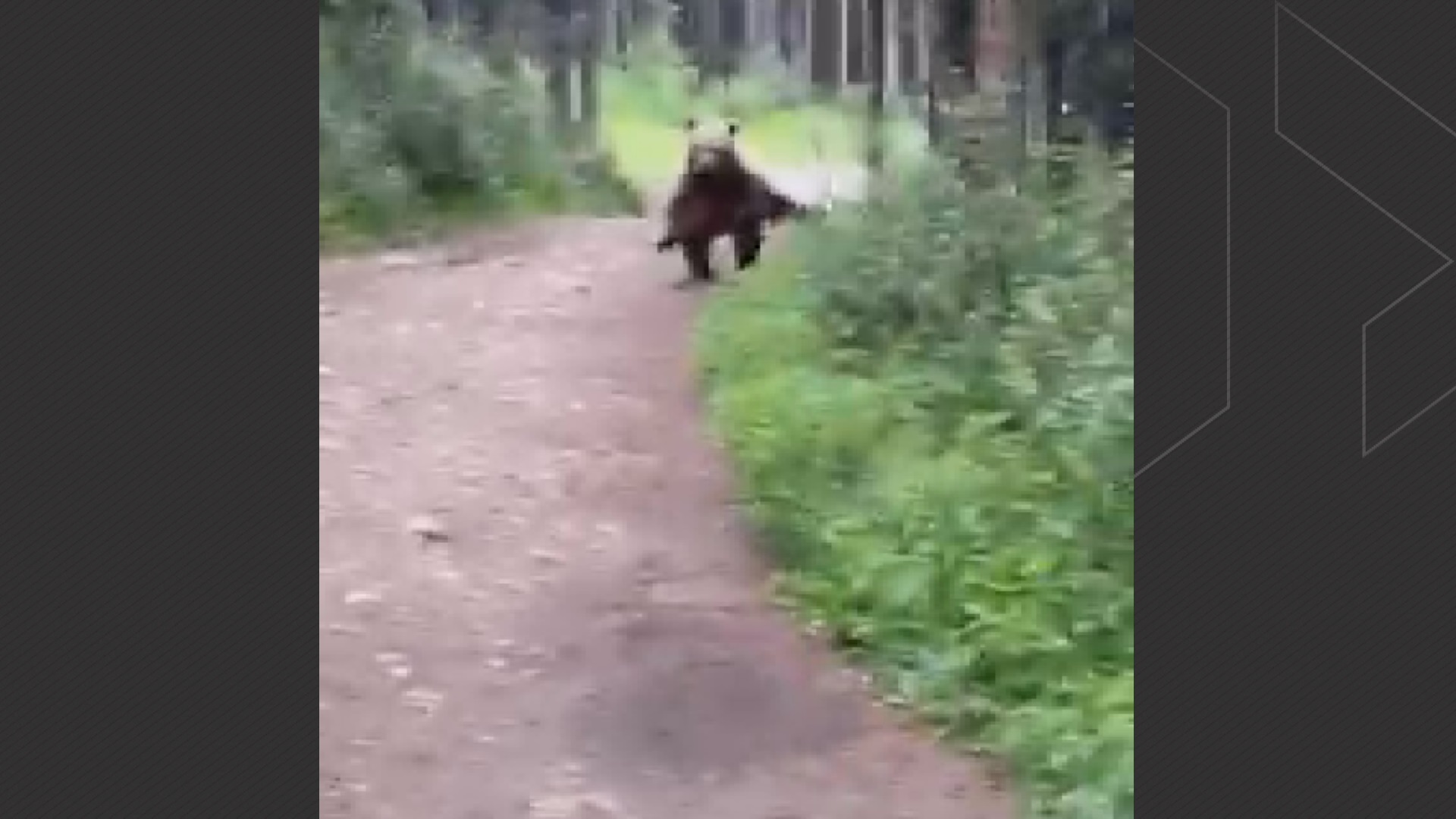 събота изглеждаше като идеалния ден за празнуване на 11 години