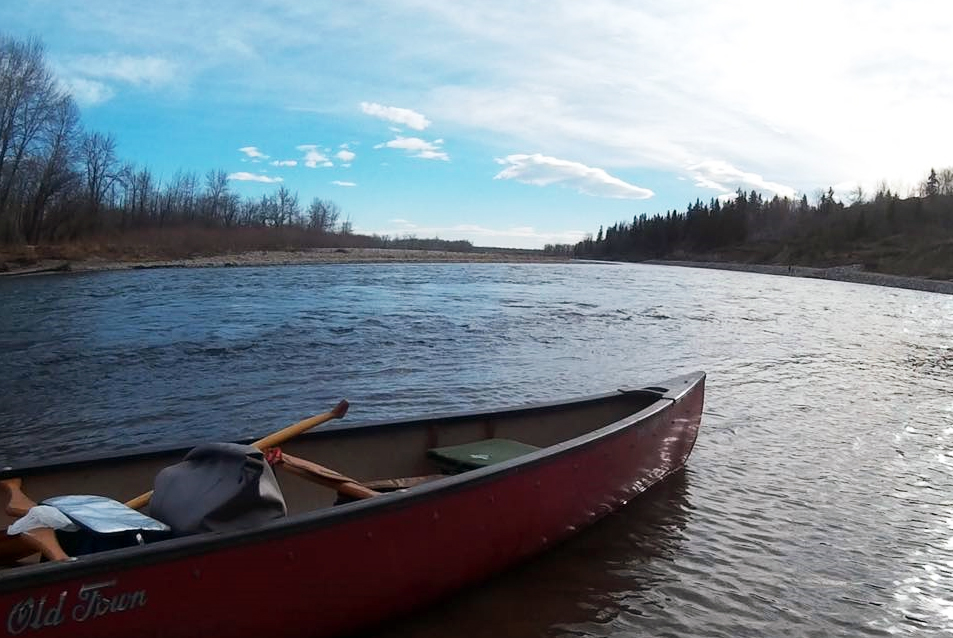 Правителството на Алберта търси публична обратна връзка за план за