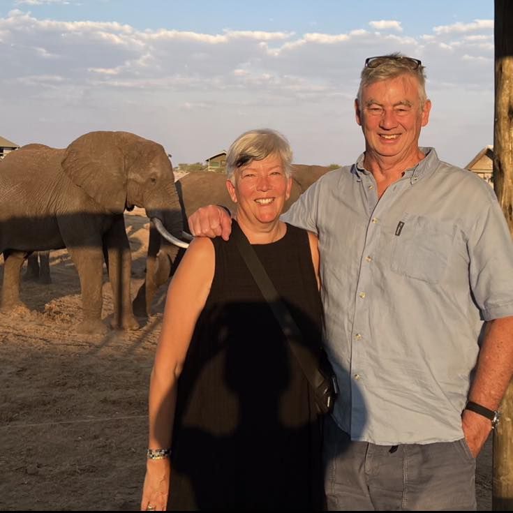 красив пейзаж папрат в пяна на лате гледката в края