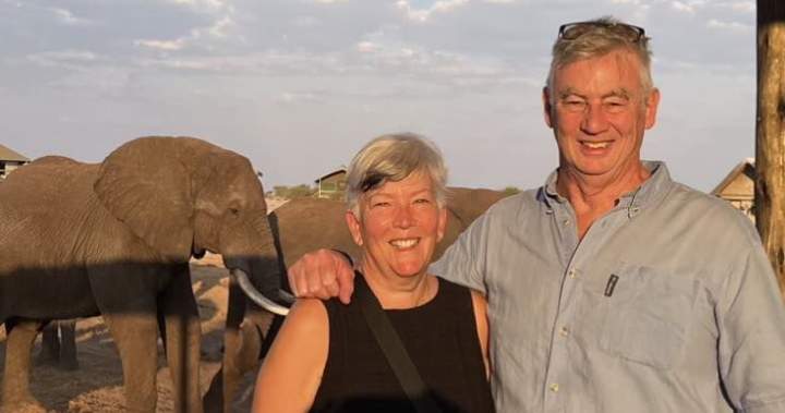 красив пейзаж папрат в пяна на лате гледката в края