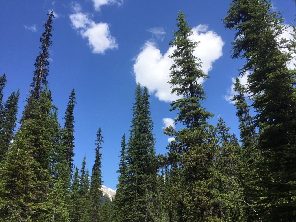 Федералното правителство предоставя над 100 милиона долара за да помогне