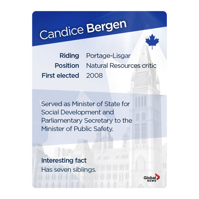 MP trading cards: Official Opposition Edition - image