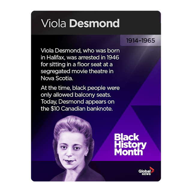 [tp_video id=4071559]