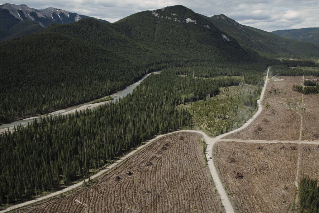 Две въглищни компании които съдят правителството на Алберта заради нейната