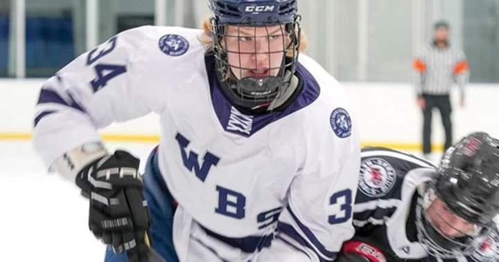 CHL проведе годишния си проект за внос в сряда а