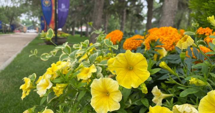 правителствената къща на Саскачеван може да отведе хората на екскурзия