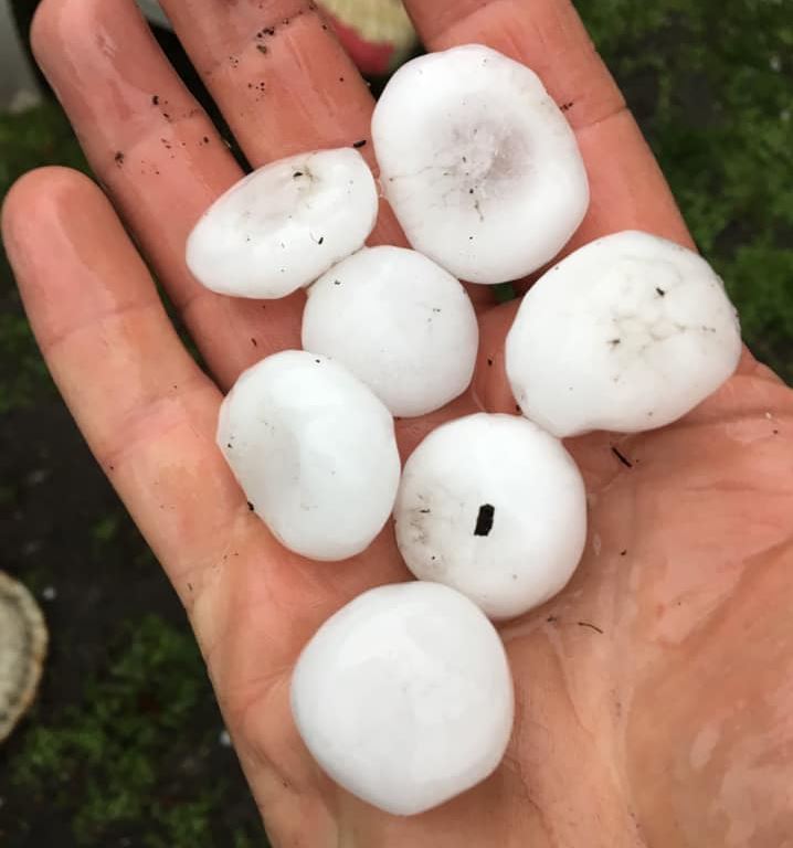 Julian Brimelow holds up a replica of the mother of