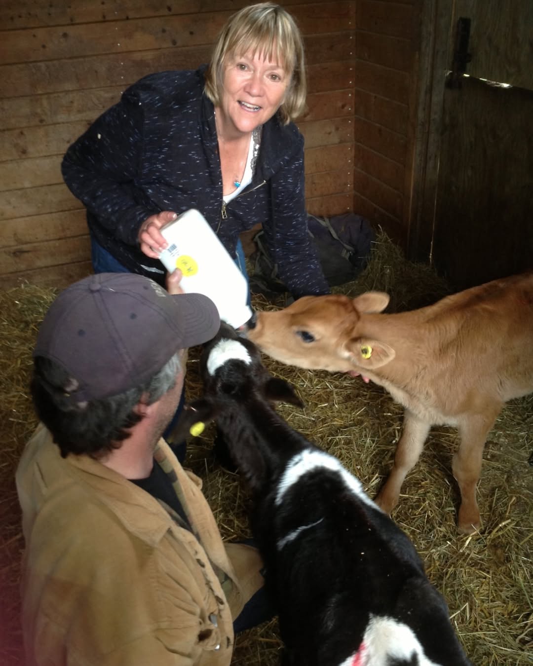още две светилища за животни в Британска Колумбия се появяват