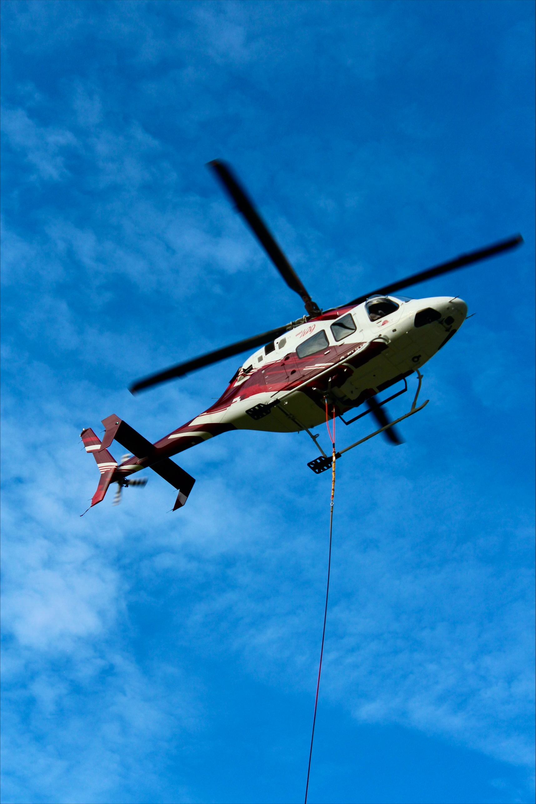 Когато в четвъртък те бяха повикани първите реагиращи те не