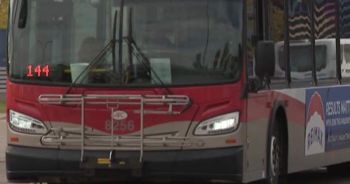 Calgary police have arrested three youths after a bus driver