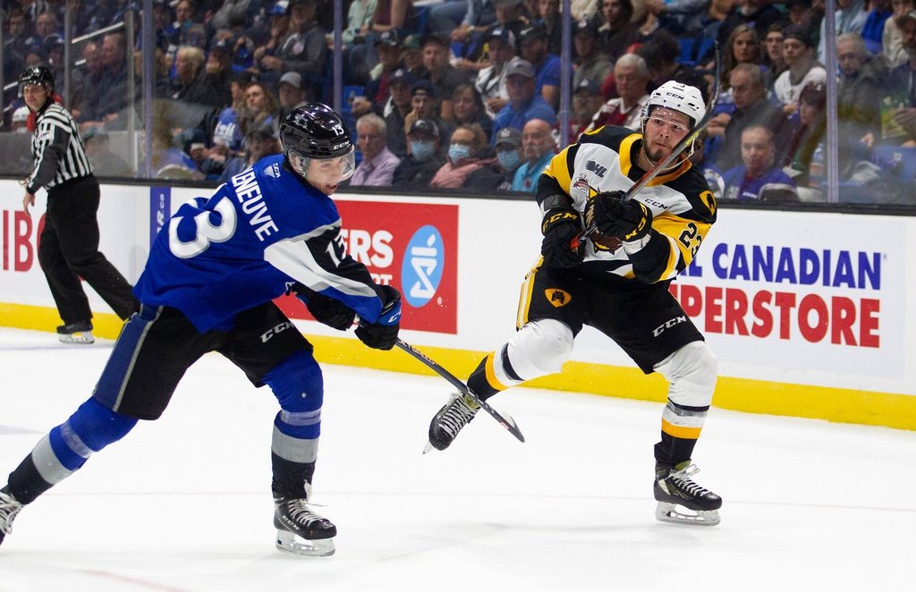 TORONTO Toronto Maple Leafs са подписали защитника Уилям Вилнеув на едногодишно