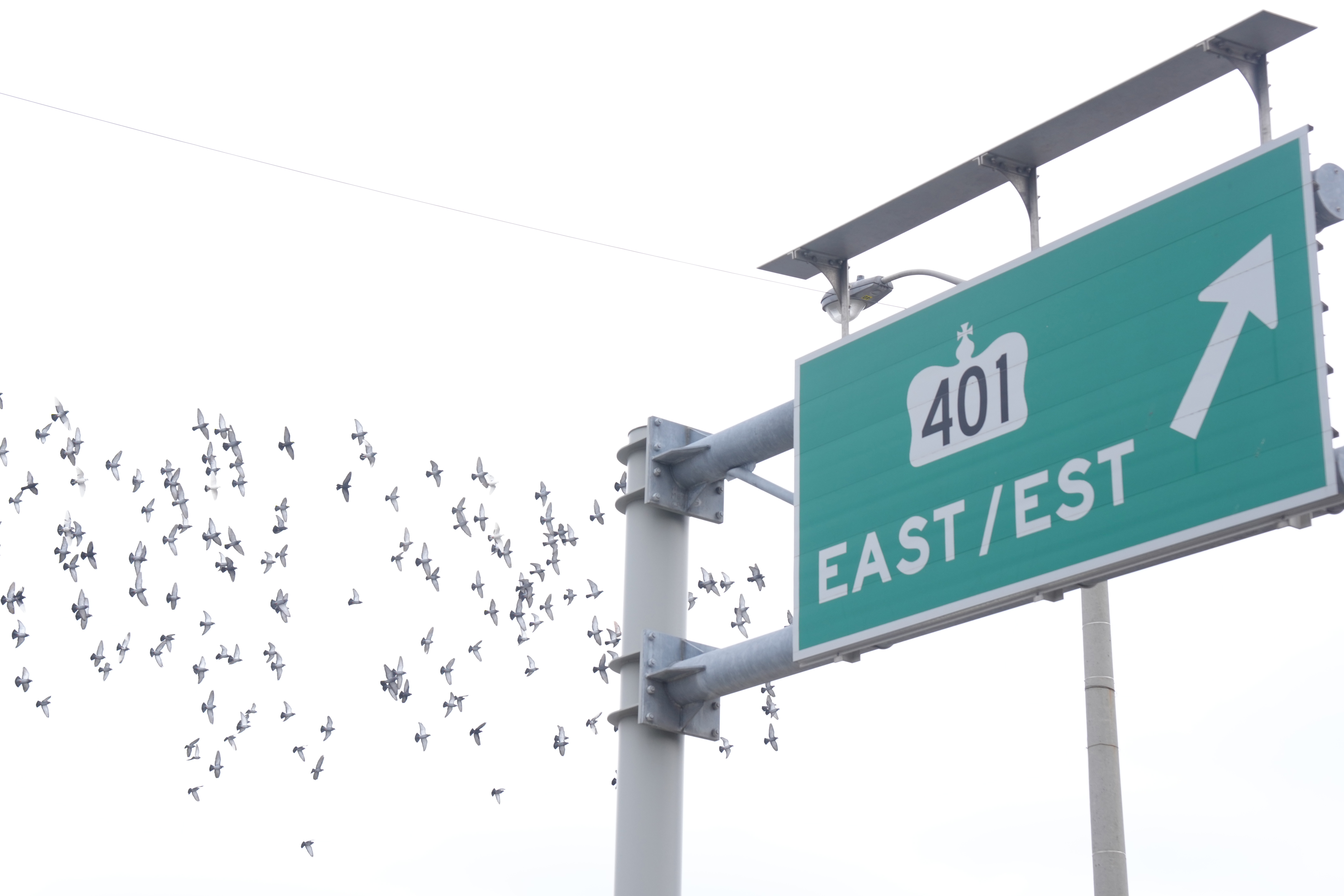 Години преди премиерът на Онтарио Дъг Форд застана в Etobicoke