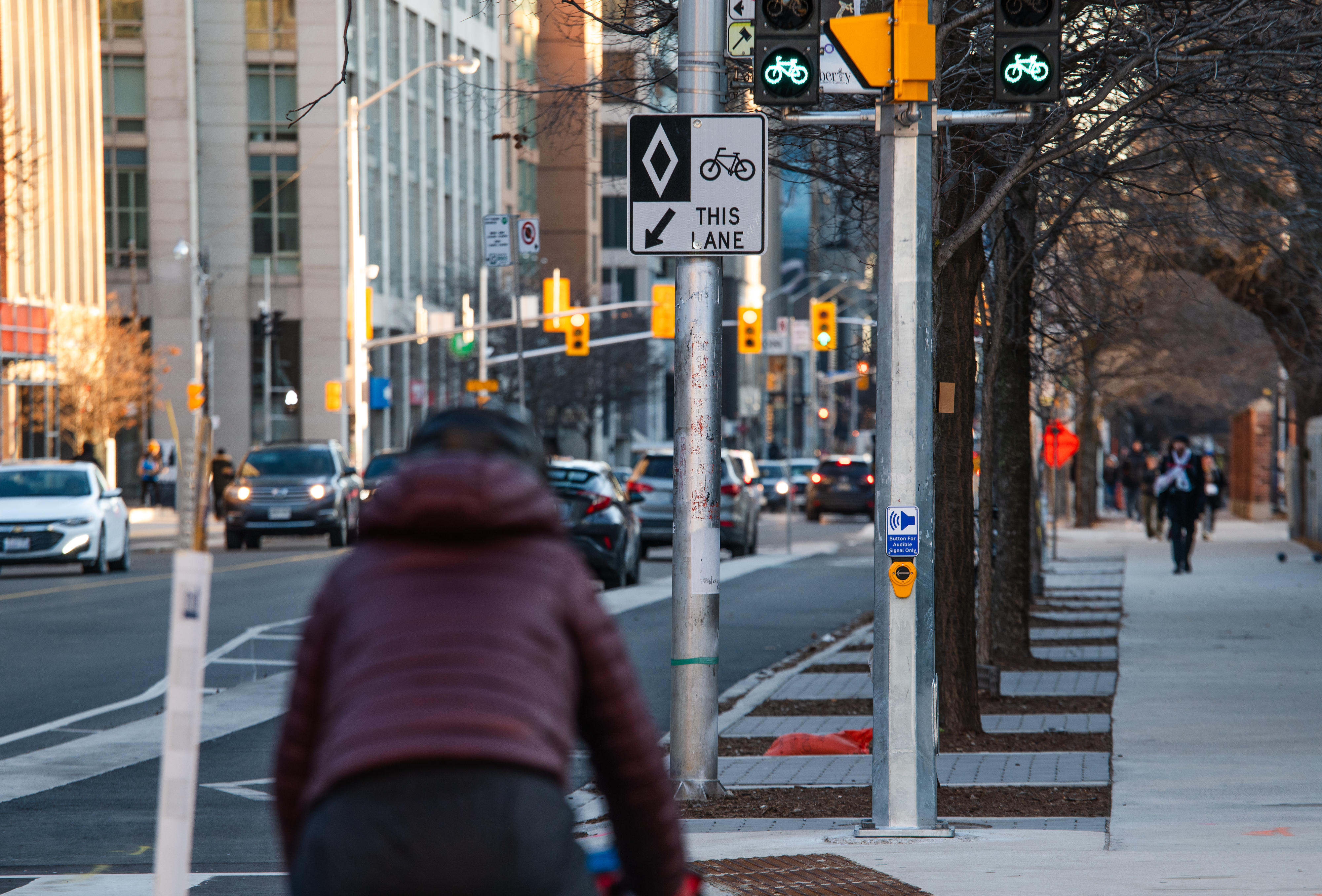 премиерът на Онтарио Дъг Форд взриви съдията който се произнесе