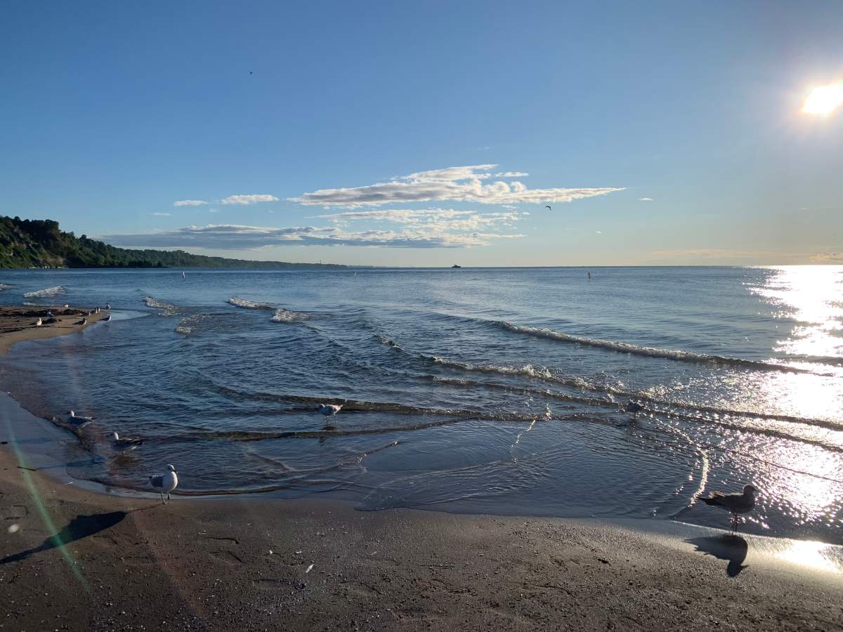 Search underway for missing man who was on a jet ski at Bluffer’s Beach.